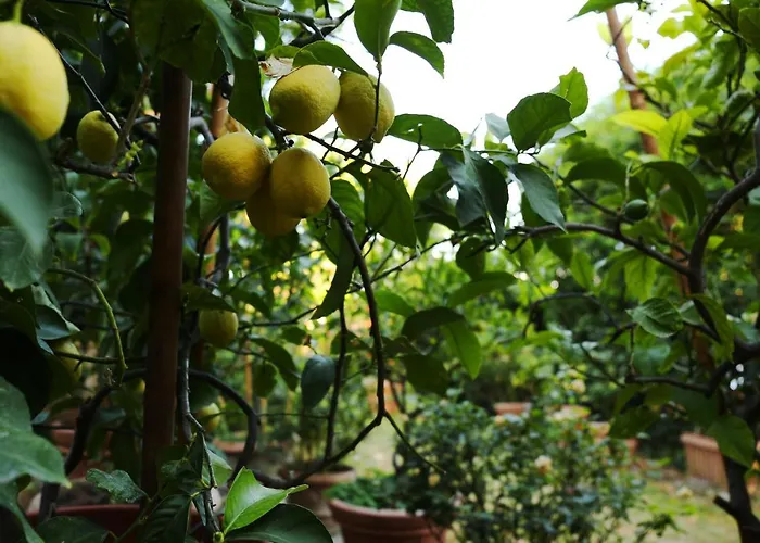 Gospodarstwo agroturystyczne Relais Casamassima