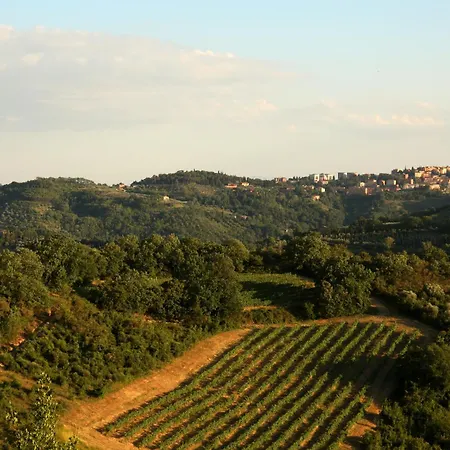 Relais Casamassima Alojamento de Turismo Rural