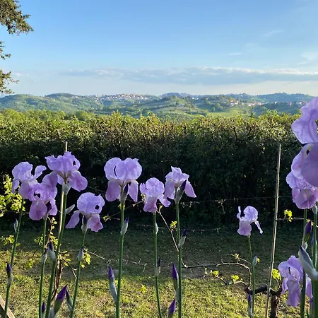 Farm stay Relais Casamassima
