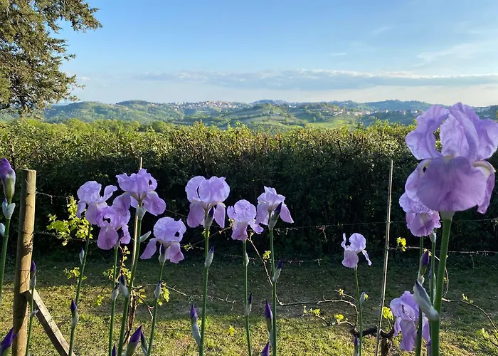 مزرعة للإقامة Relais Casamassima